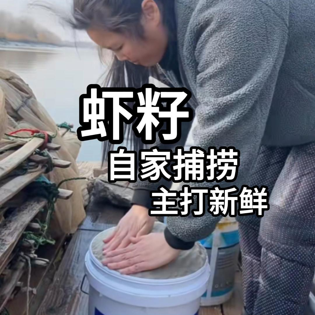 灌南特产 北陈集潮河新鲜虾籽