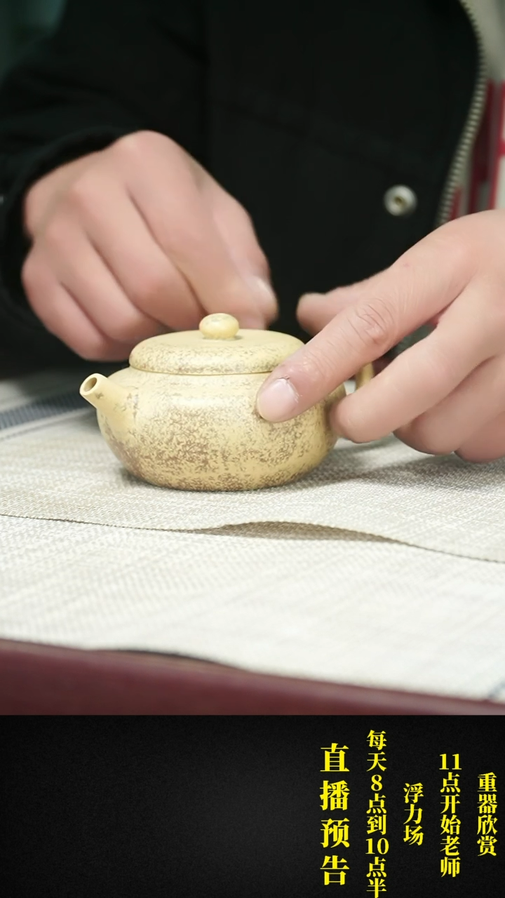 【闪购商品】紫砂茶壶紫砂 茶壶22