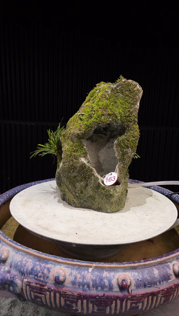163造型吴定石一物一拍专属
