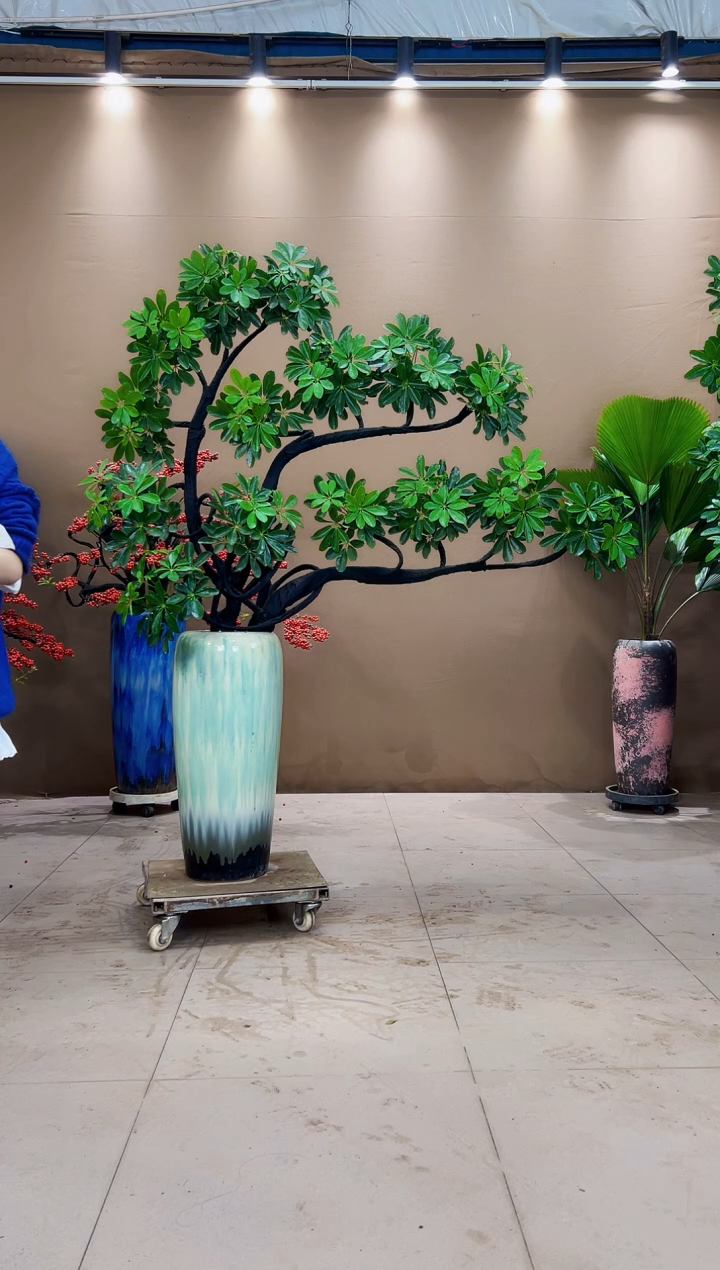 无花朵拾*者鲜活绿植一物一拍