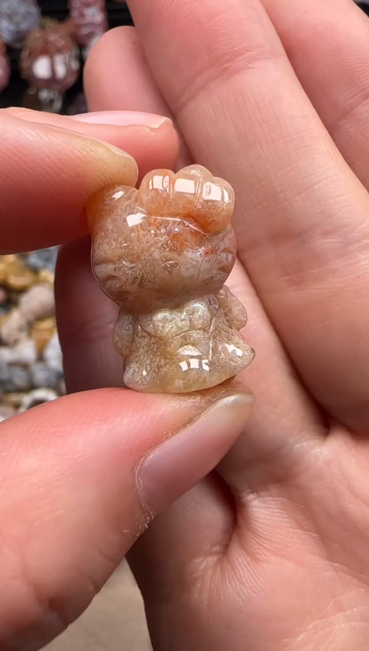 【闪购商品】硅化珊瑚（珊瑚玉）颈饰未镶嵌456