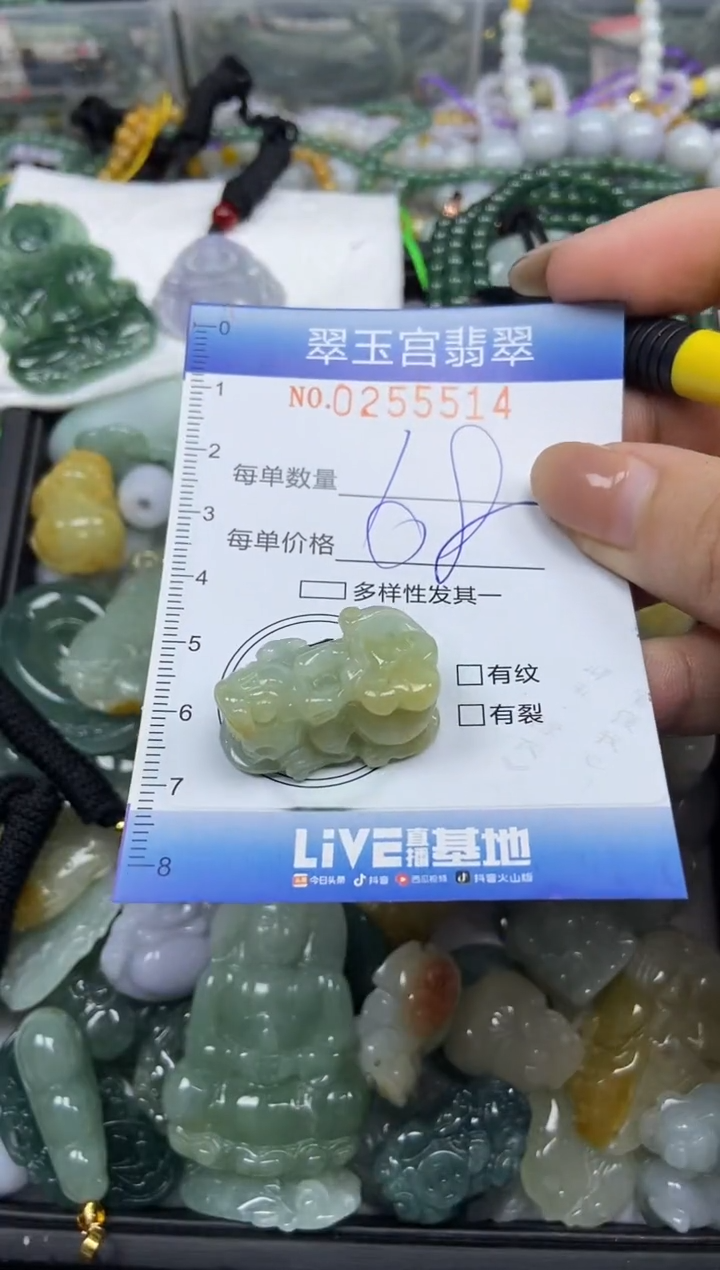 颈饰未镶嵌翡翠闪购C0255514