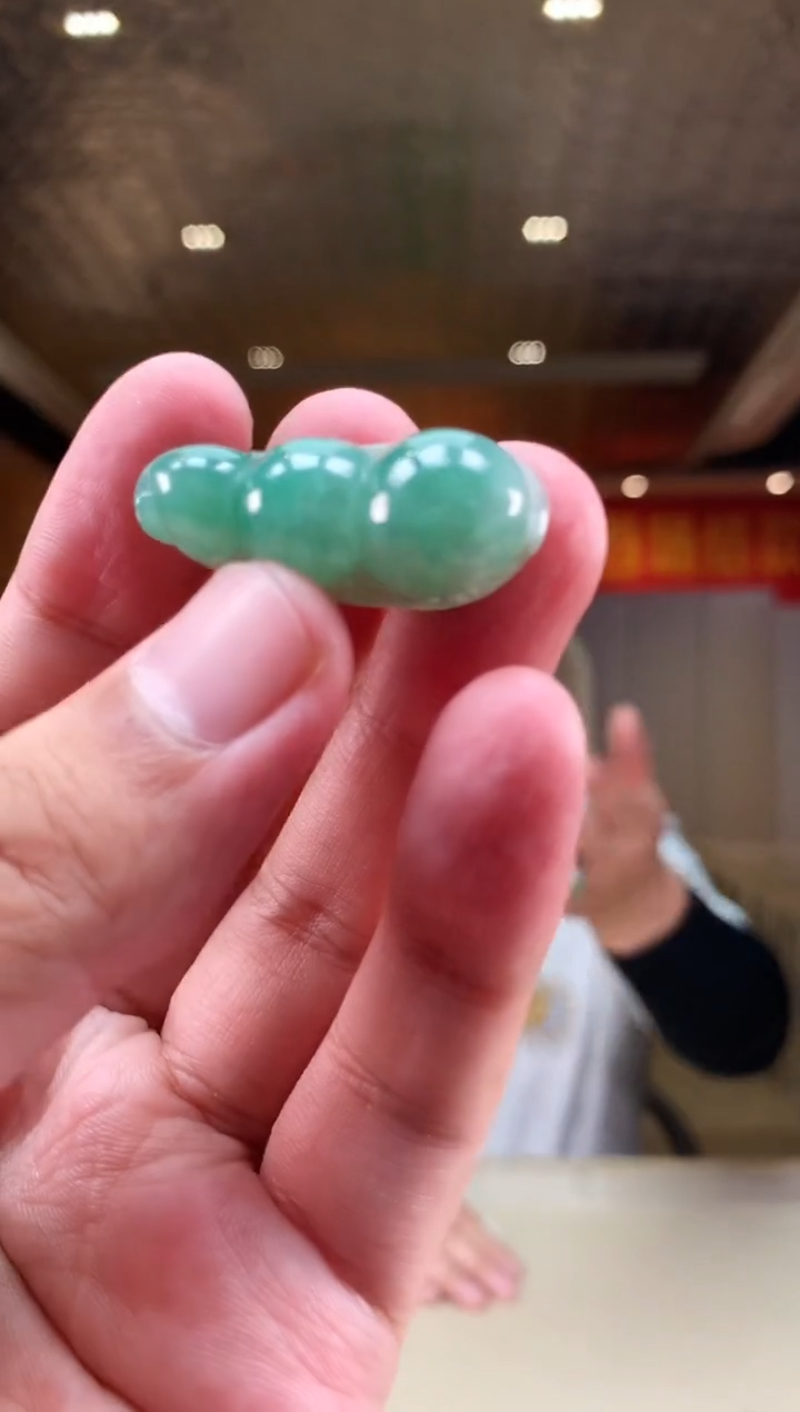 【闪购商品】翡翠颈饰未镶嵌        *845