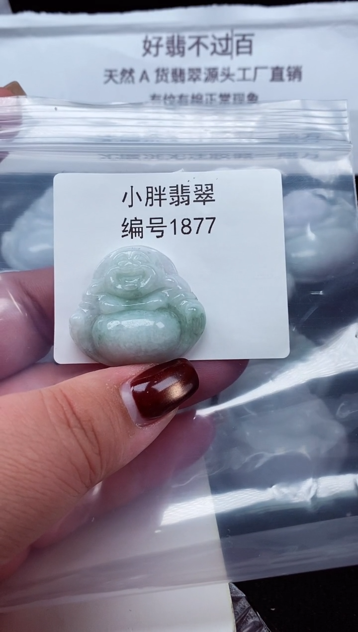 颈饰未镶嵌翡翠缅甸天然A货翡翠1877