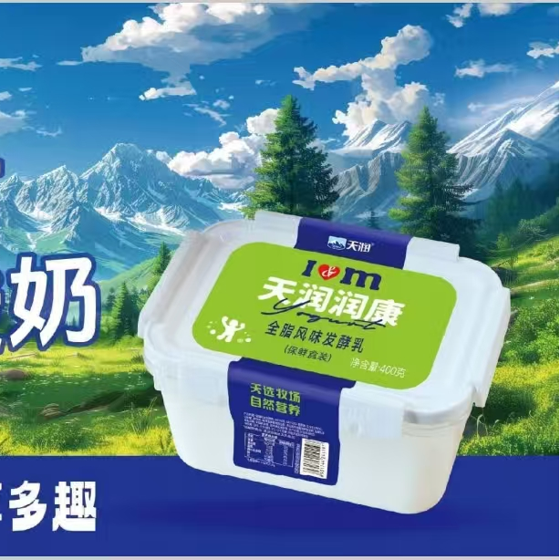 新疆天润酸奶饭盒400g固体酸奶