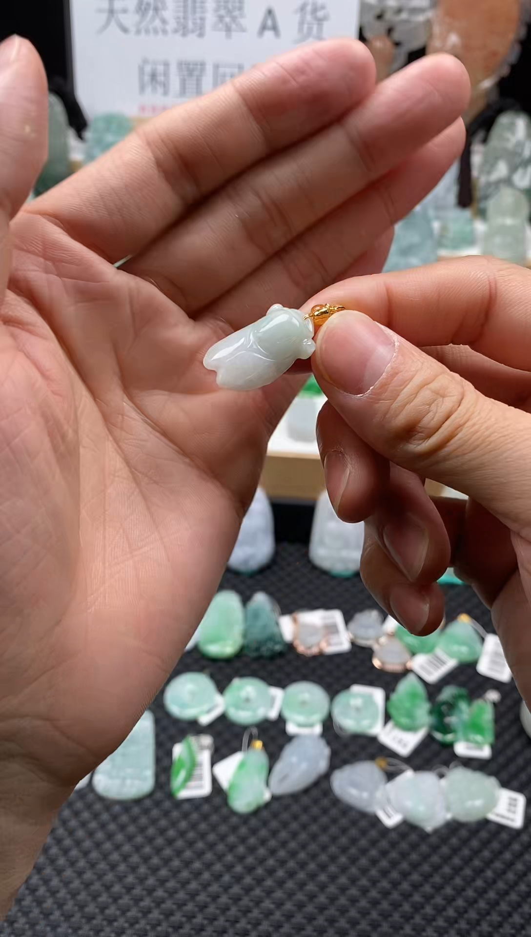 【闪购商品】翡翠颈饰未镶嵌30知了