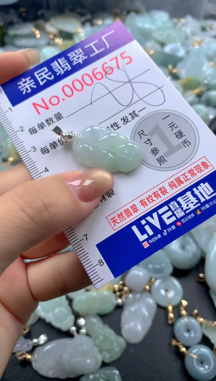 颈饰未镶嵌翡翠6675