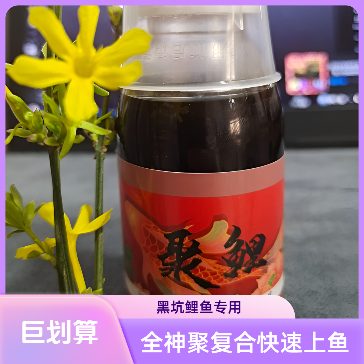 全神聚复合一瓶搞定【聚鲤】 黑坑盘老板