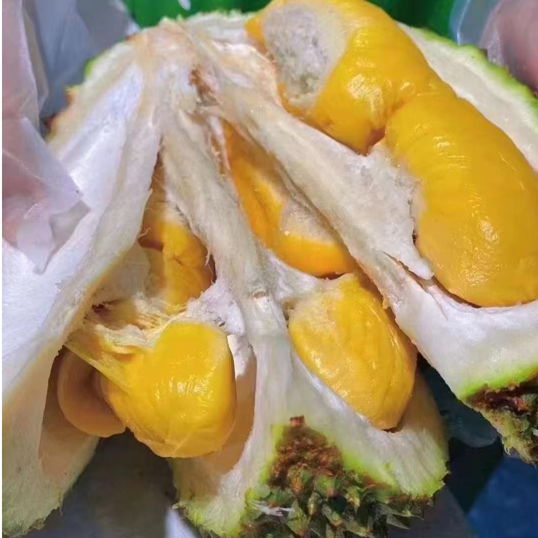 马来西亚猫山王榴莲AAA鲜果（保5房）