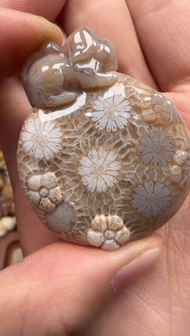 【闪购商品】硅化珊瑚（珊瑚玉）颈饰未镶嵌471