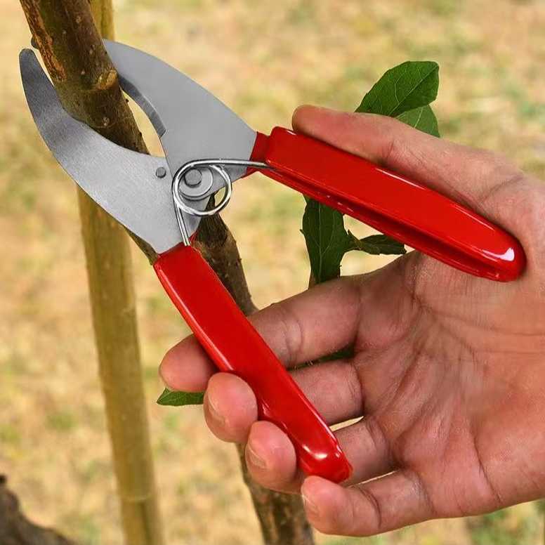 【环割刀】园林工具修枝剪大号SK5合金多功能环剥刀