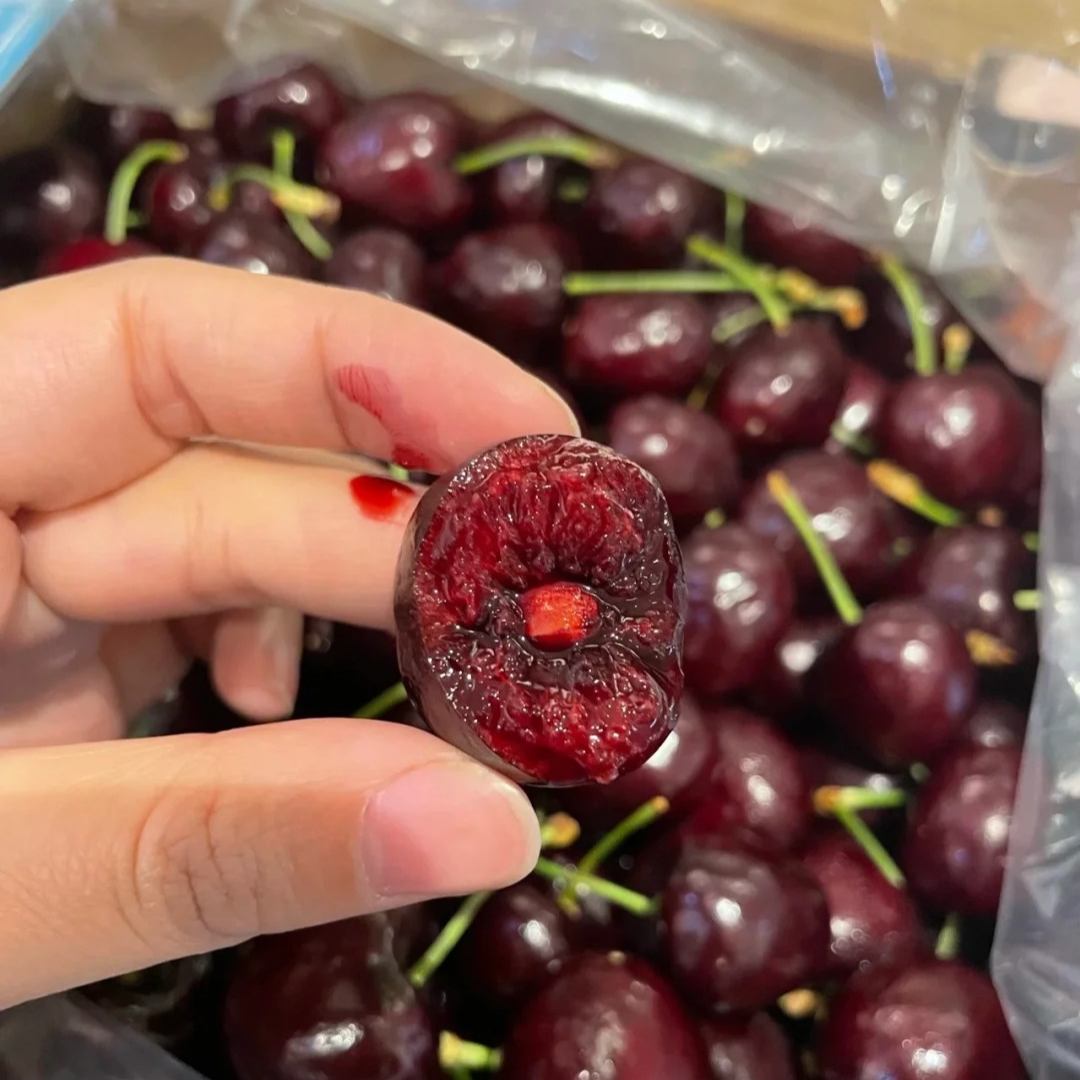 【海运车厘子3J/5斤】桑提娜，颗粒又大脆甜桑提娜智利