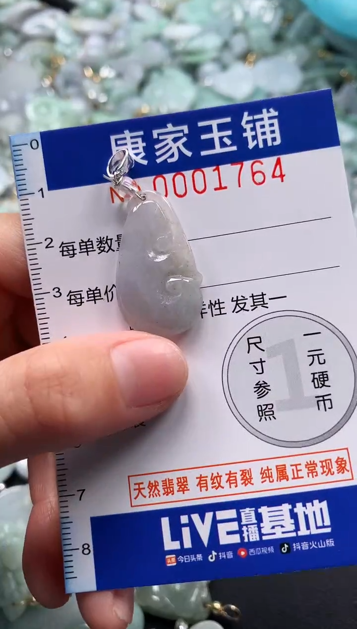 颈饰未镶嵌翡翠1764