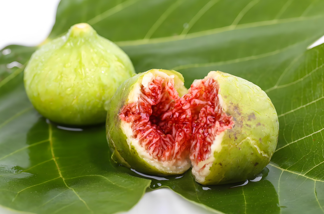 山东威海青皮无花果新鲜应季树上熟软糯香甜顺丰空运