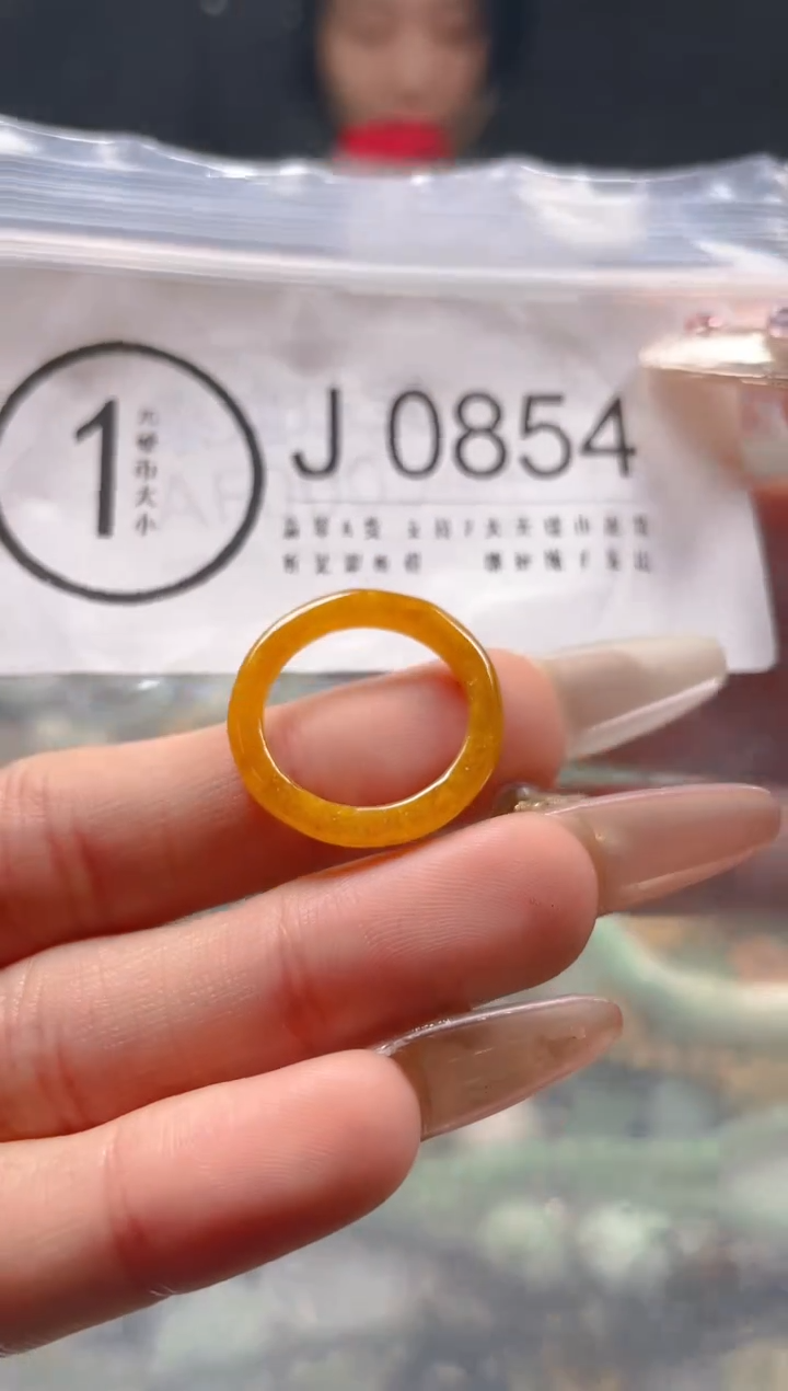 【闪购商品】翡翠颈饰未镶嵌16.3/J/翡翠A货一图一物