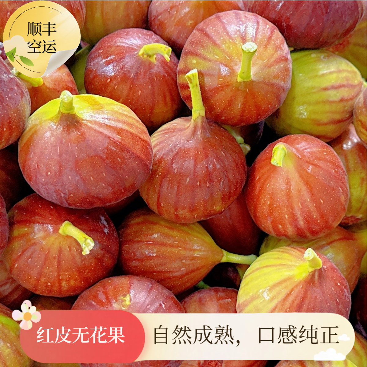 【顺丰空运】云南红皮无花果当季水果软糯香甜树上熟新鲜现采现发