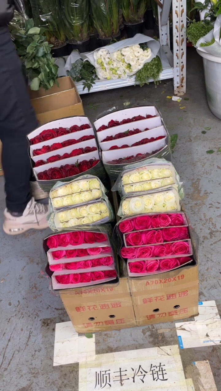 高原红20枝+佛洛依德20枝+骄傲20枝