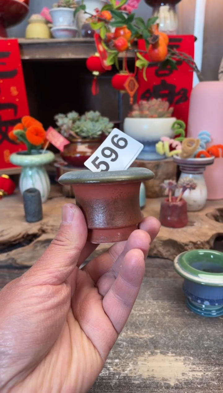 【闪购商品】摆件596知木小芳花盆