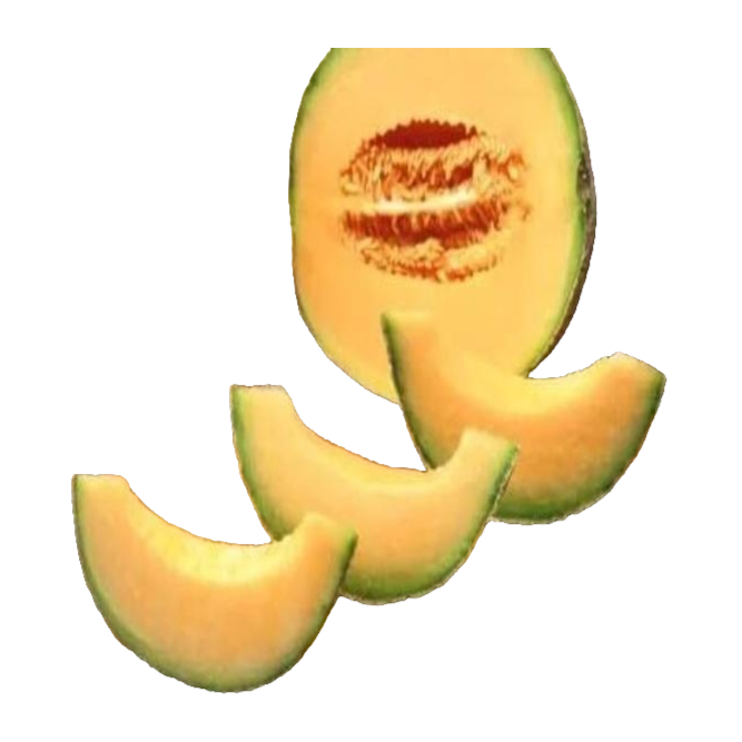 沙地润心甜哈密瓜3斤左右/份