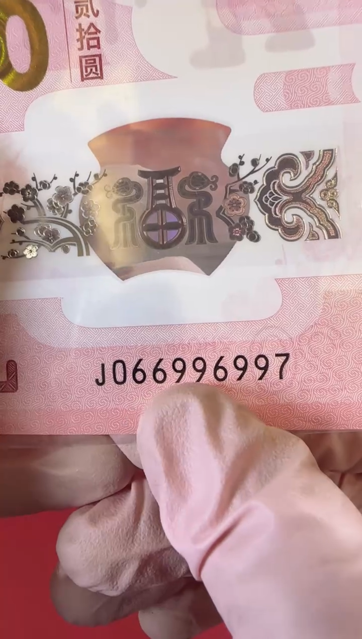 【闪购商品】塑料2025蛇钞单张裸066996997