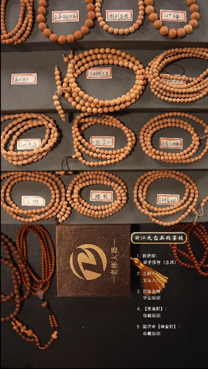 五线菩提吊坠手串