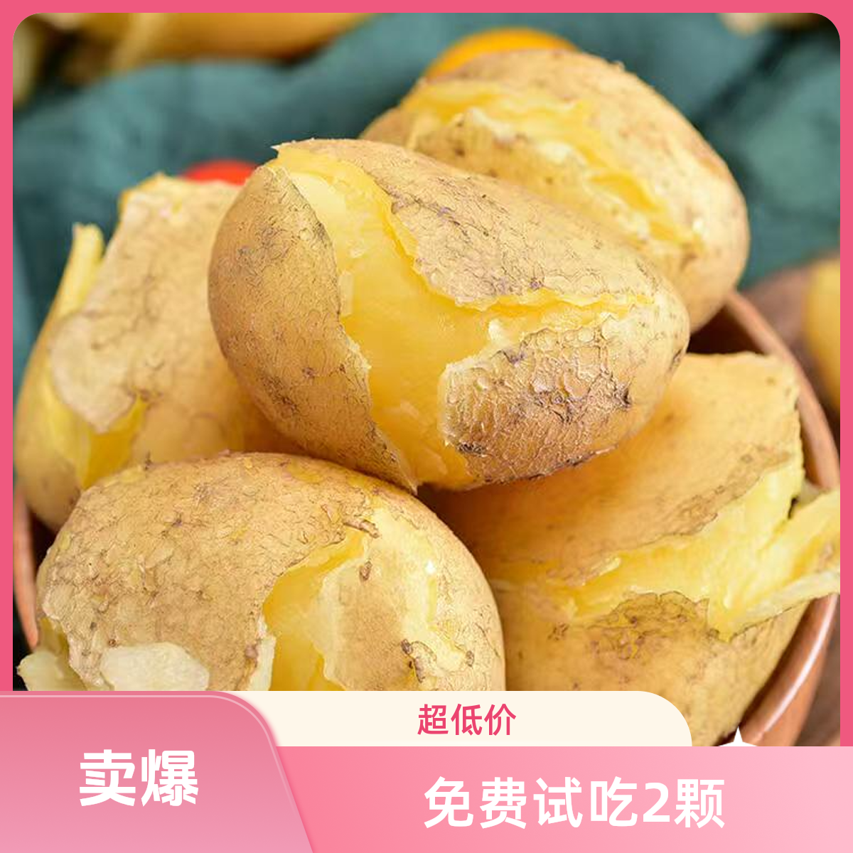 甘肃定西黄皮黄心土豆新鲜现挖沙面细腻粉面洋芋马铃薯高山土豆