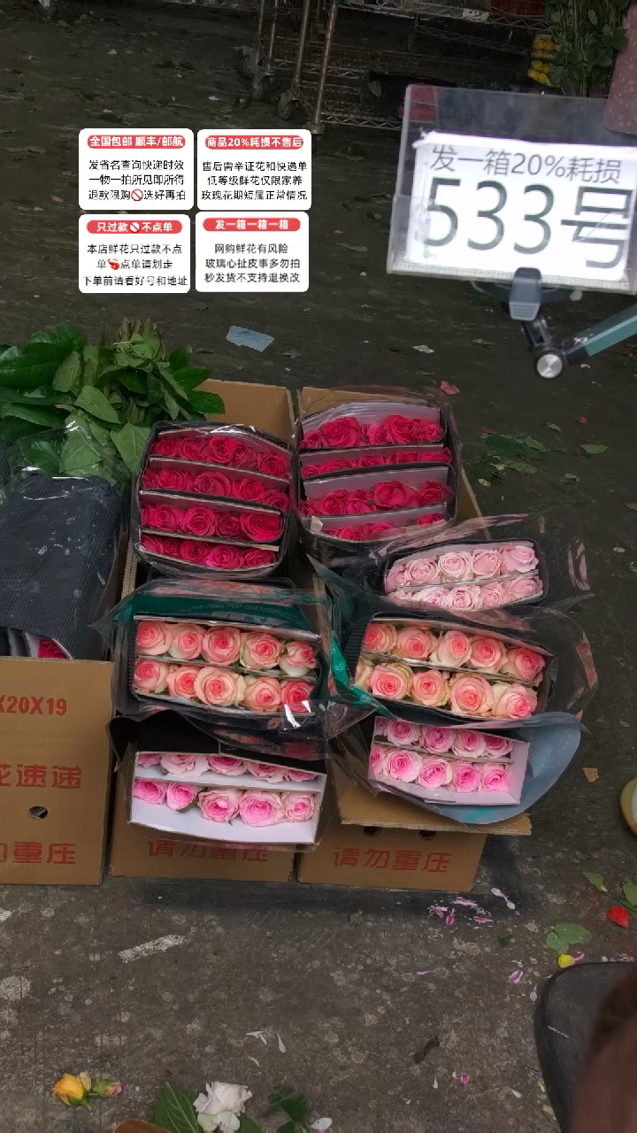 533号♥含20%耗损发一箱