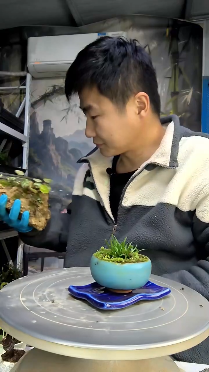 清*.中青园艺一物一拍花19