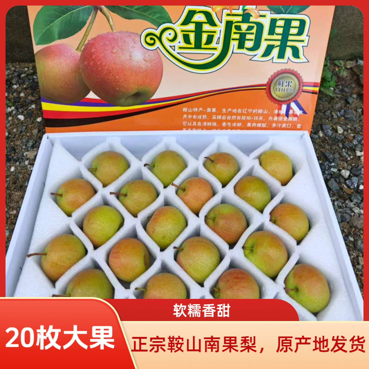 正宗鞍山南果梨当季新鲜水果皮薄多汁脆甜梨子现摘现发