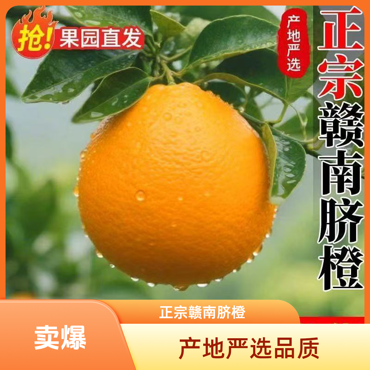 【买5斤送5斤】正宗脐橙江西赣州甜橙子薄皮新鲜现摘多仓发货