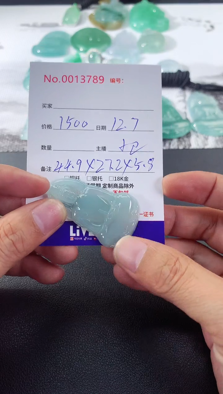 颈饰未镶嵌翡翠素衣