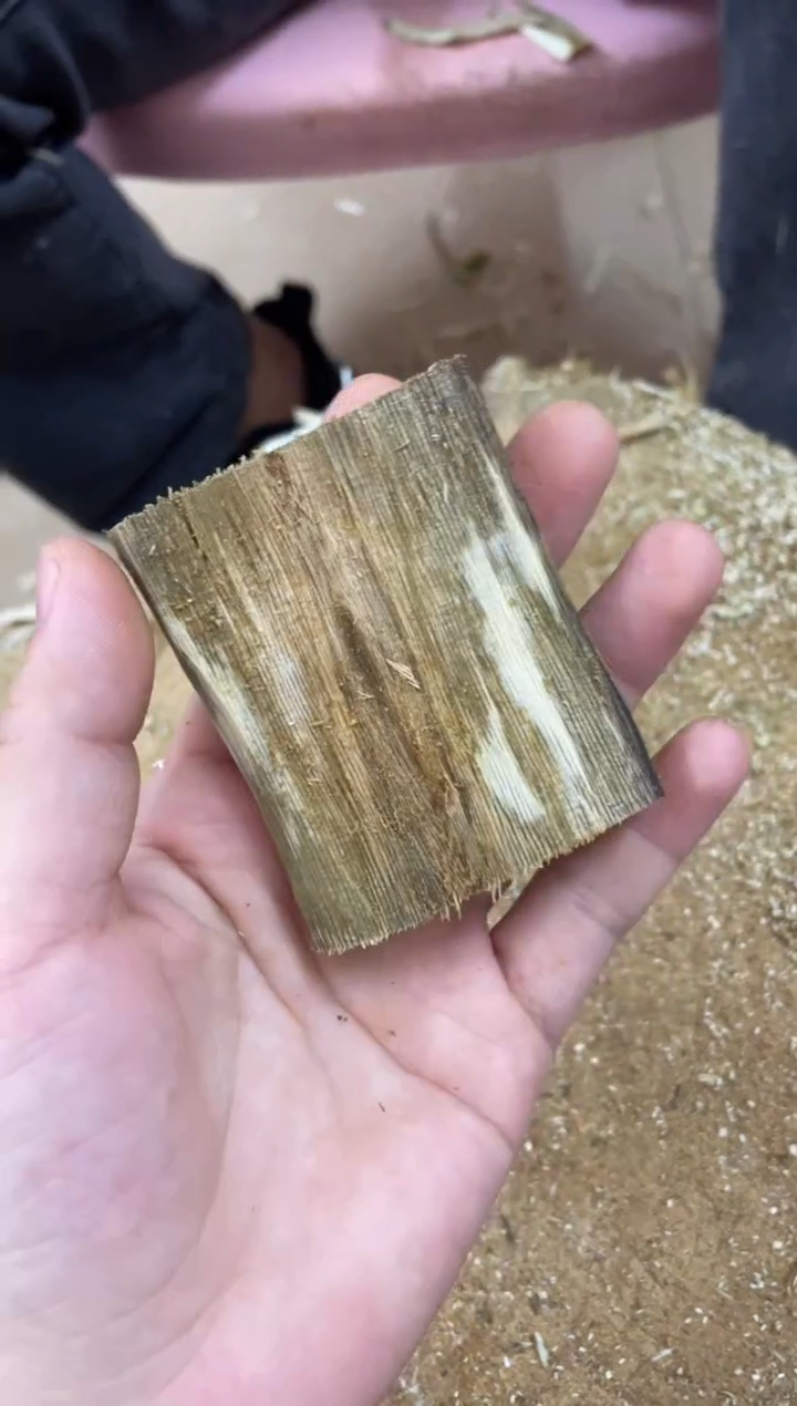 【闪购商品】沉香碎屑沉香木棋楠沉香 原料文创1