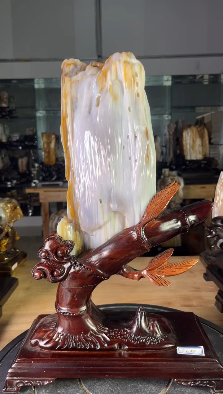 【闪购商品】硅化玉珠宝奇石未镶嵌1