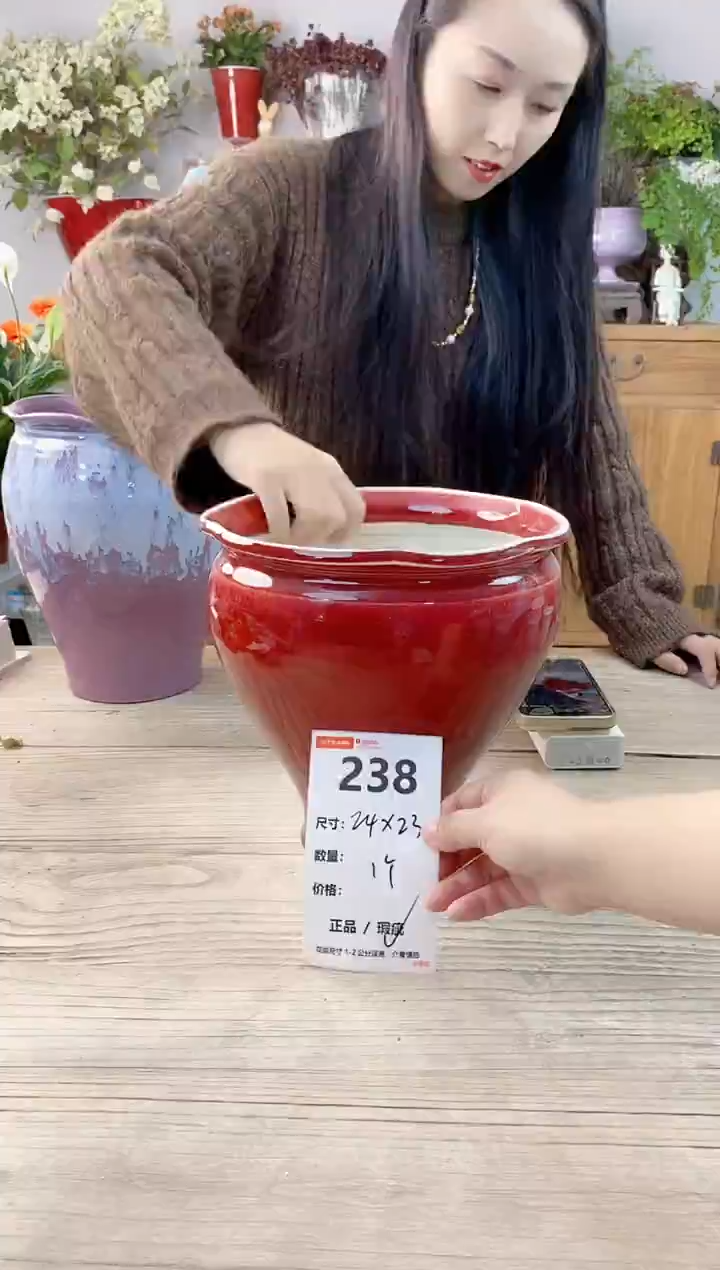 小玩子花盆直播号238