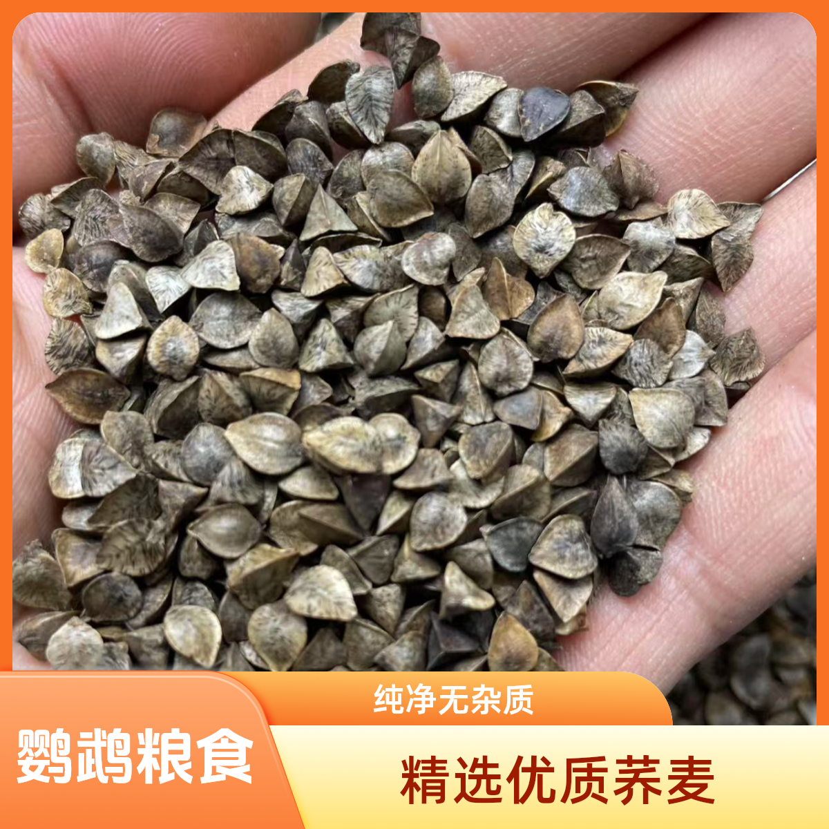 玄凤牡丹鹦鹉粮带壳荞麦鹦鹉饲料小太阳和尚鸟粮鸟食仓鼠粮真空装