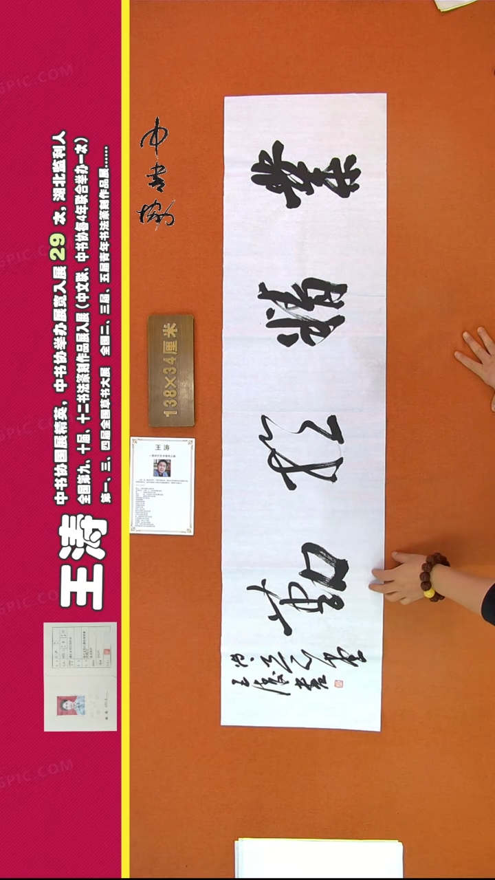 【闪购商品】书法214王涛书法作品