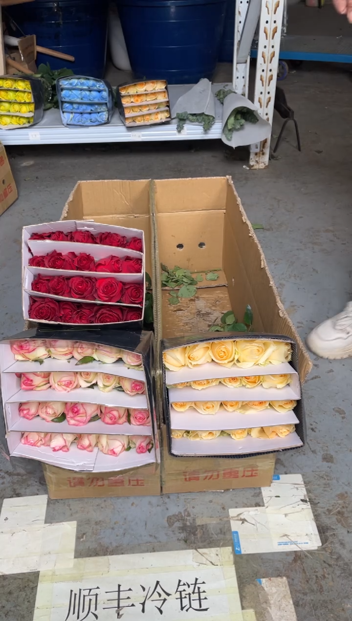 高原红20枝+艾沙20枝+香槟20枝