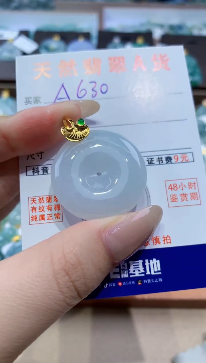 颈饰未镶嵌翡翠天然缅甸翡翠A货挂件 