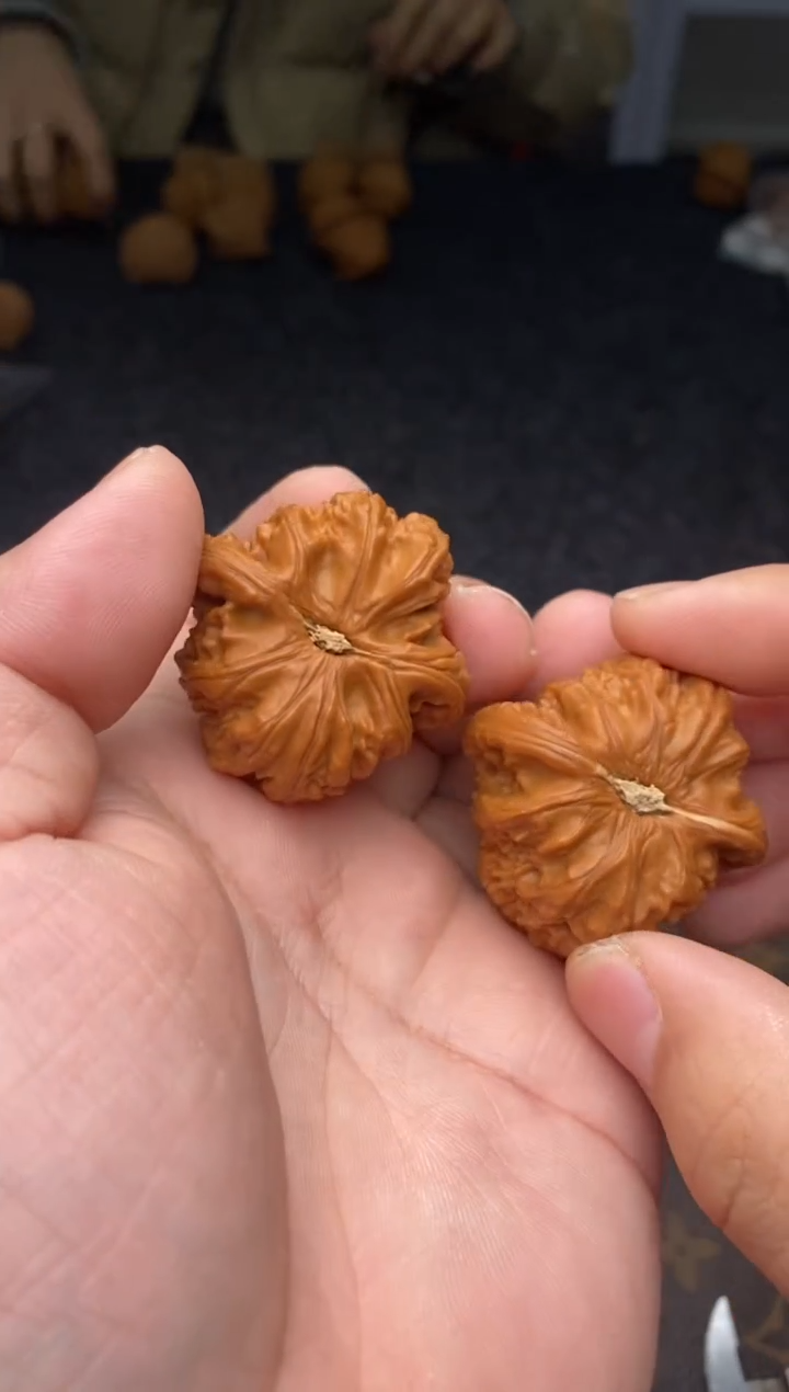 把件文玩核桃B208号40尺白狮子
