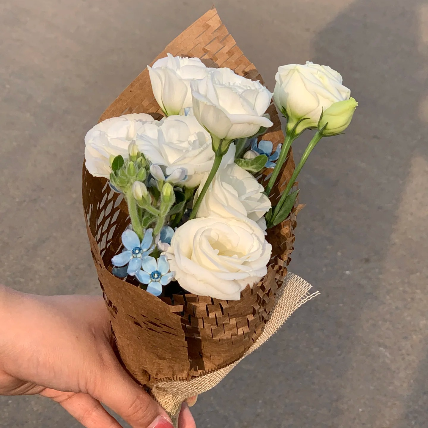 【大力甄选】AA级蒙娜丽莎花束 云南基地现采现发 一单包邮