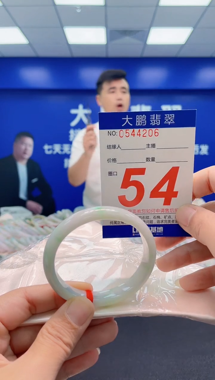 未镶嵌手镯翡翠AAAAAAAAA