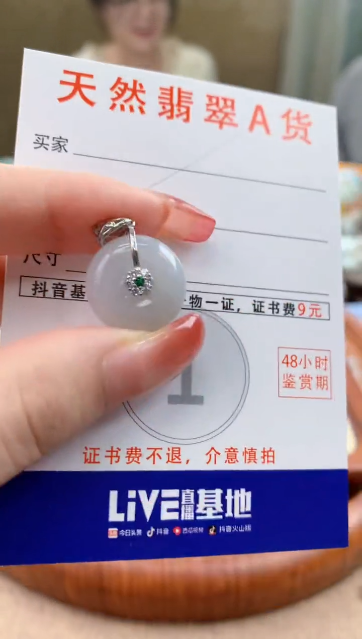 颈饰未镶嵌翡翠天然A货翡翠挂件