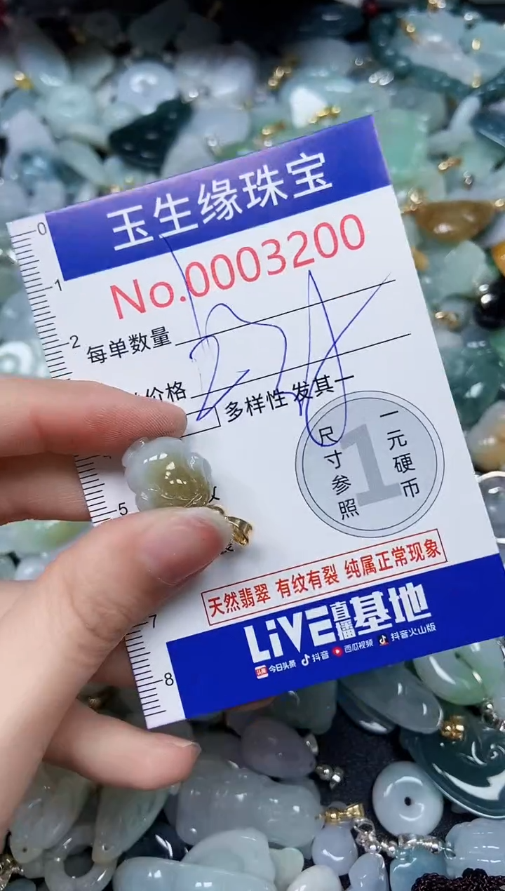 【闪购商品】翡翠颈饰未镶嵌闪购00003200