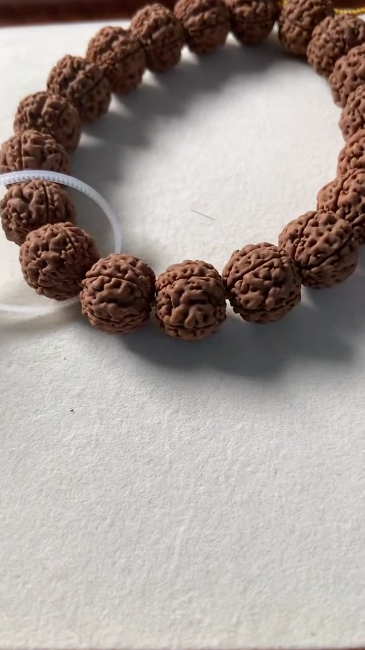 手串金刚菩提八龙