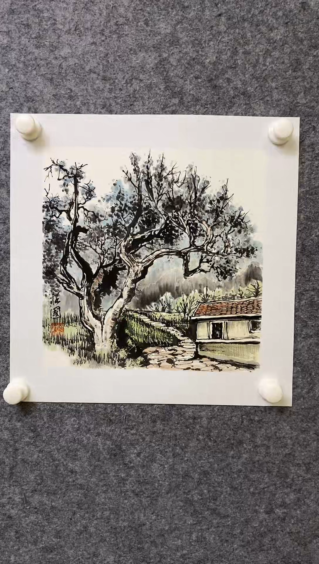 【闪购商品】书法ZYG 0001 5555