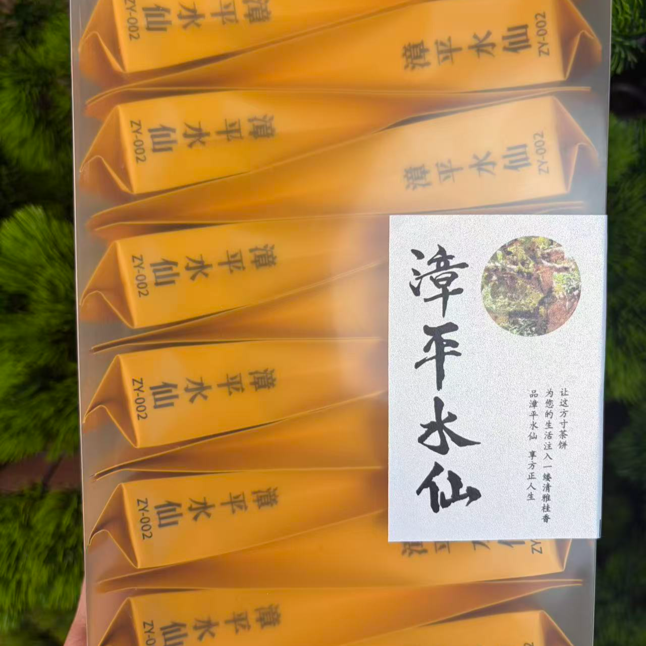 正宗一级漳平水仙茶乌龙茶茶袋装兰花香浓香型口粮茶120克 CC9358