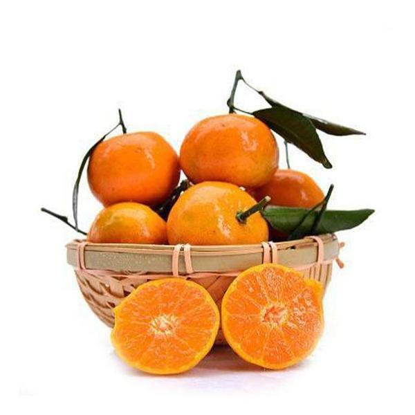 沙糖桔500g