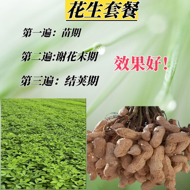 花生高产方案（含氨基酸钼水溶肥）