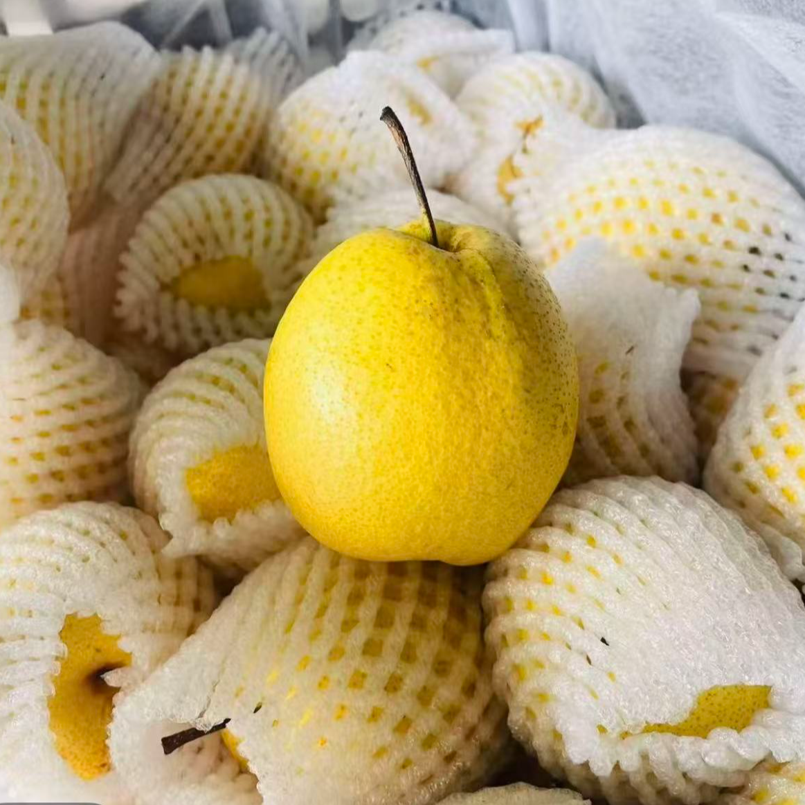 【顺丰】新疆爆甜香脆蜂蜜梨 净 4/8斤（江浙沪皖）