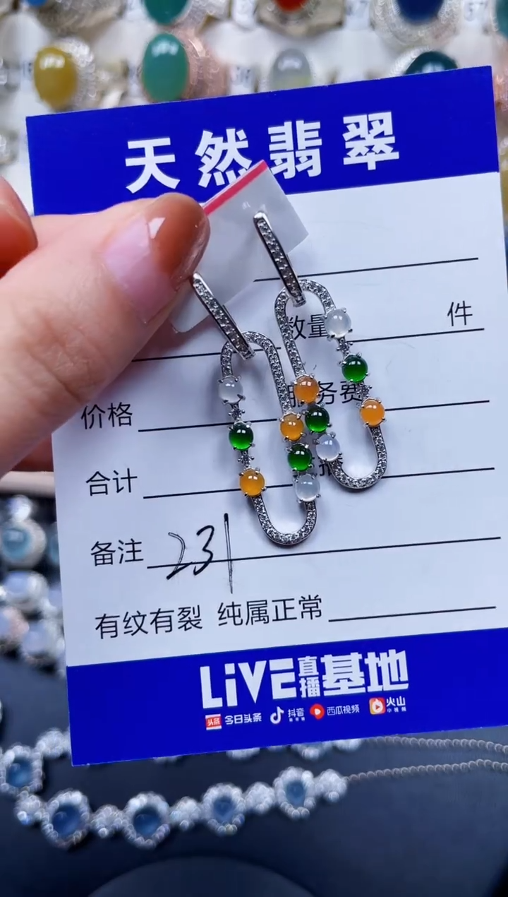 银S925镶嵌翡翠耳饰231